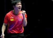 关于复仇之战！樊振东率领法国队成功逆转获胜的信息